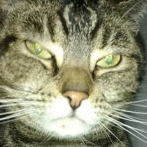 Meet your Posher, Jeri jo